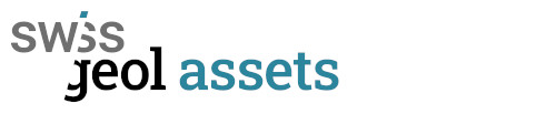 assets logo