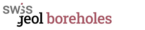 assets logo