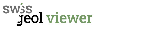 assets logo
